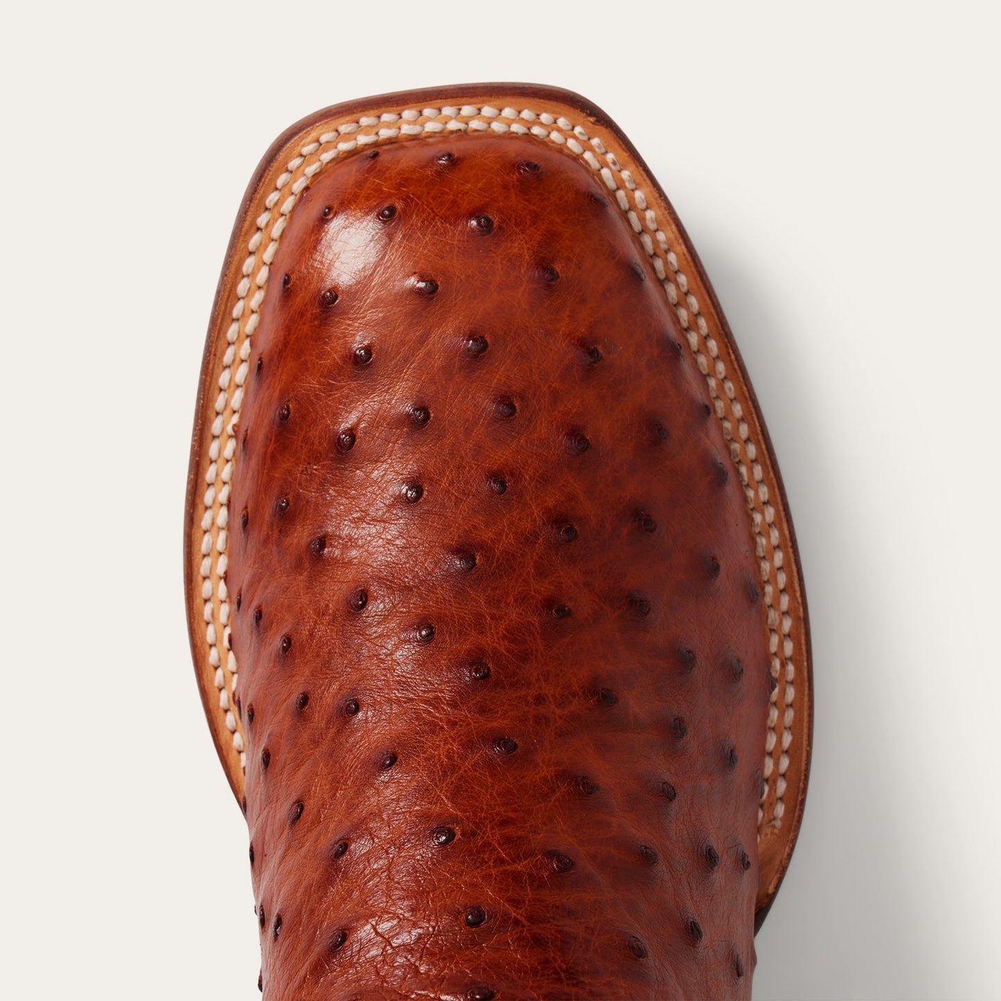 Brown Ozzy Ostrich Boot / Stetson