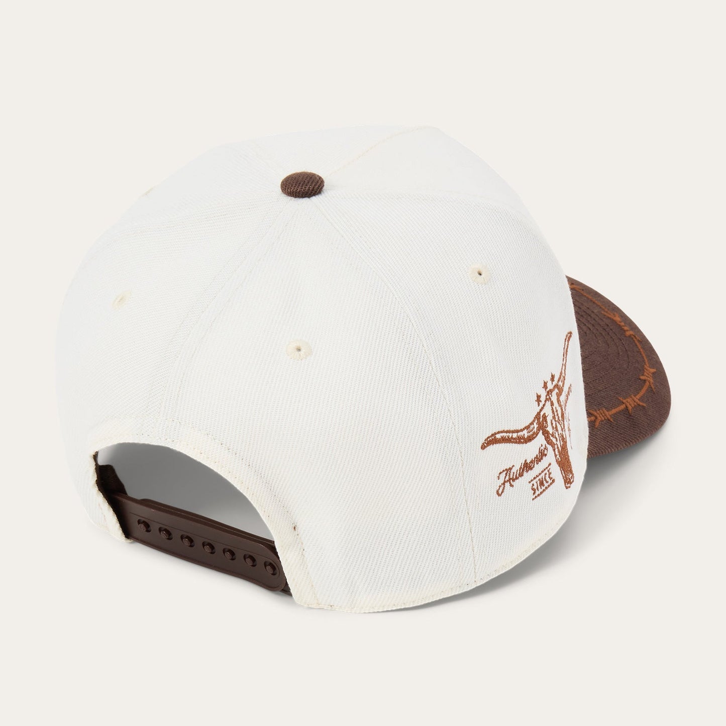 Off White / Brown Landscape Trucker Hat / Stetson