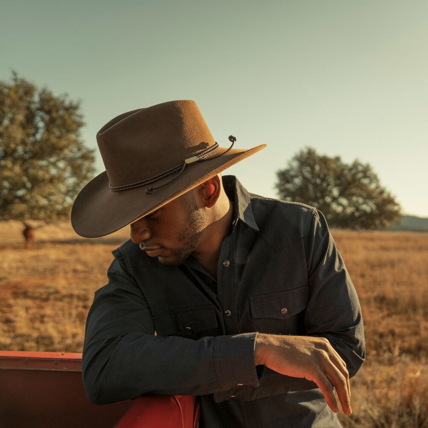 Acorn Carson 6X Cowboy Hat / Stetson