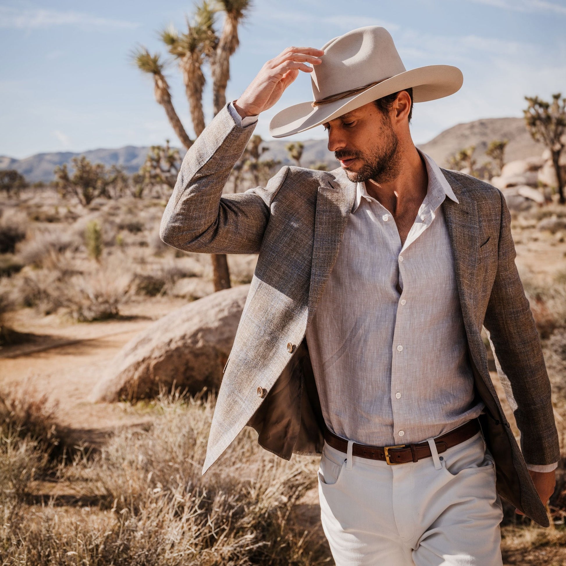 Silverbelly Gus 6X Cowboy Hat / Stetson