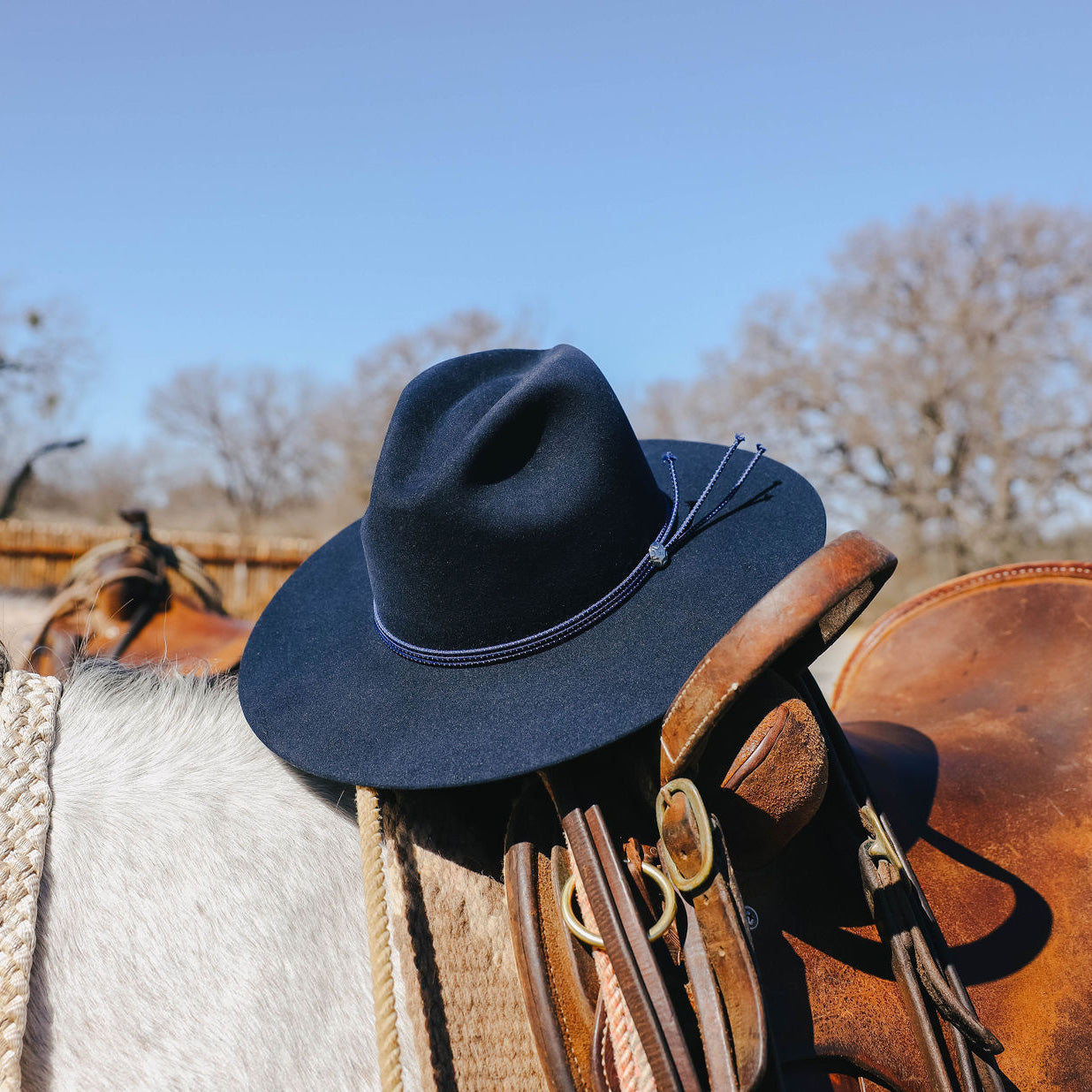 Navy The Four Points / Stetson
