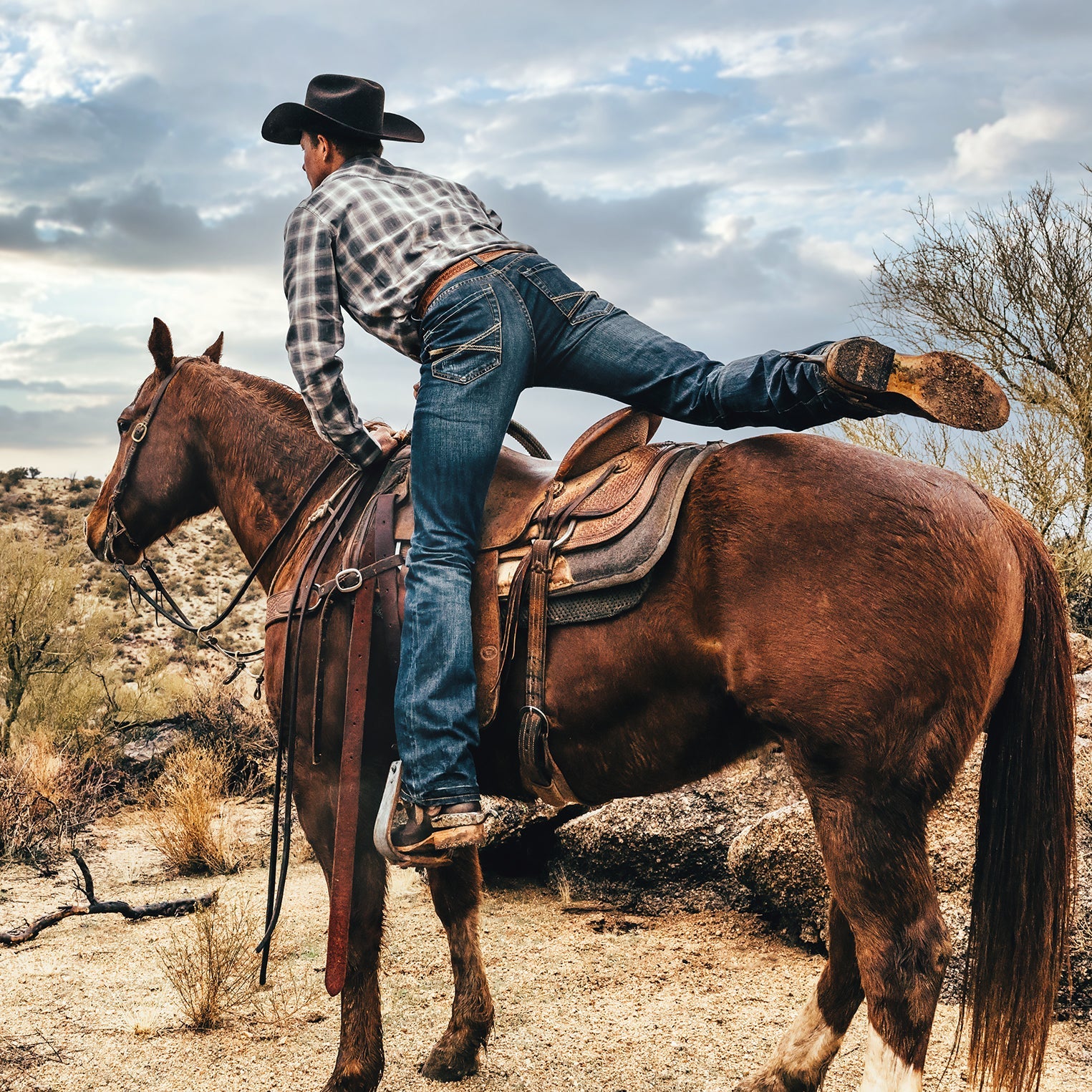 Blue 1014 Fit Destructed Dark Wash Jeans / Stetson