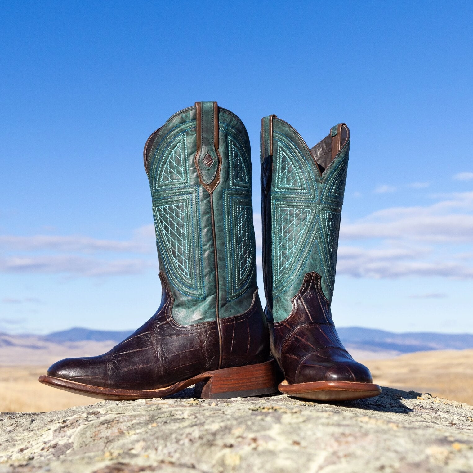 Brown Big Horn Tobacco Alligator Cowboy Boot / Stetson