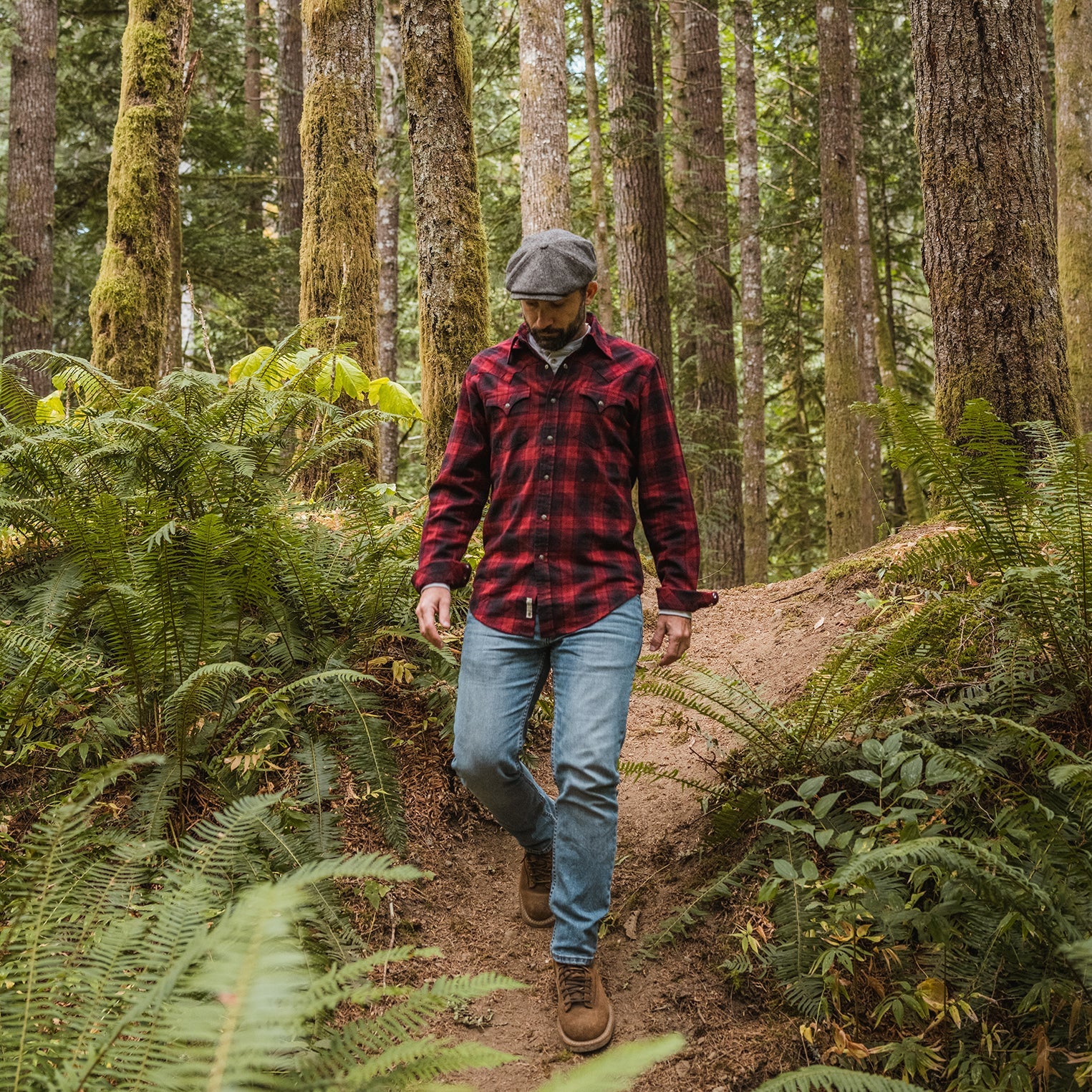Black Brushed Twill Plaid Shirt / Stetson