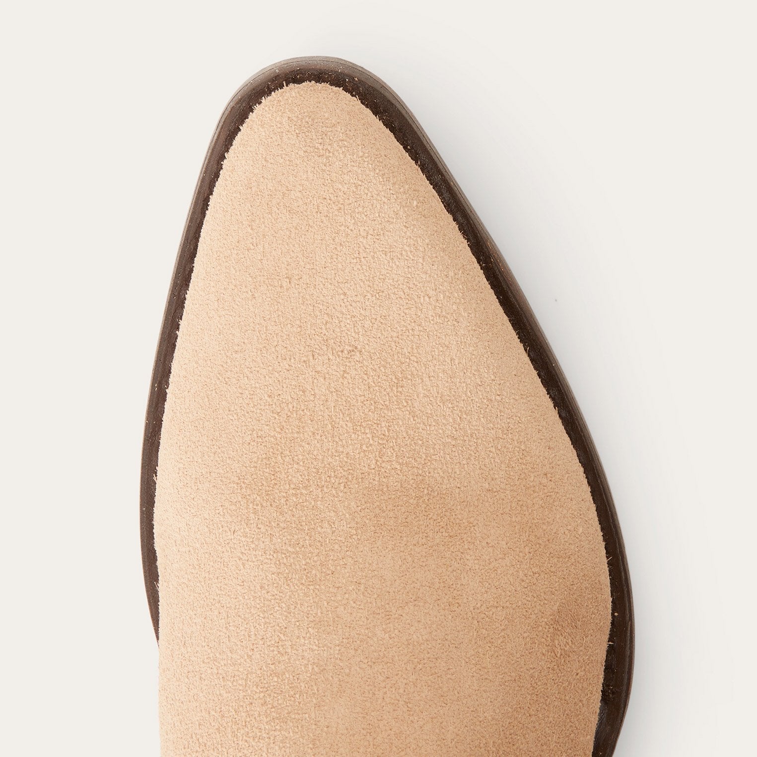 Tan Dani / Stetson