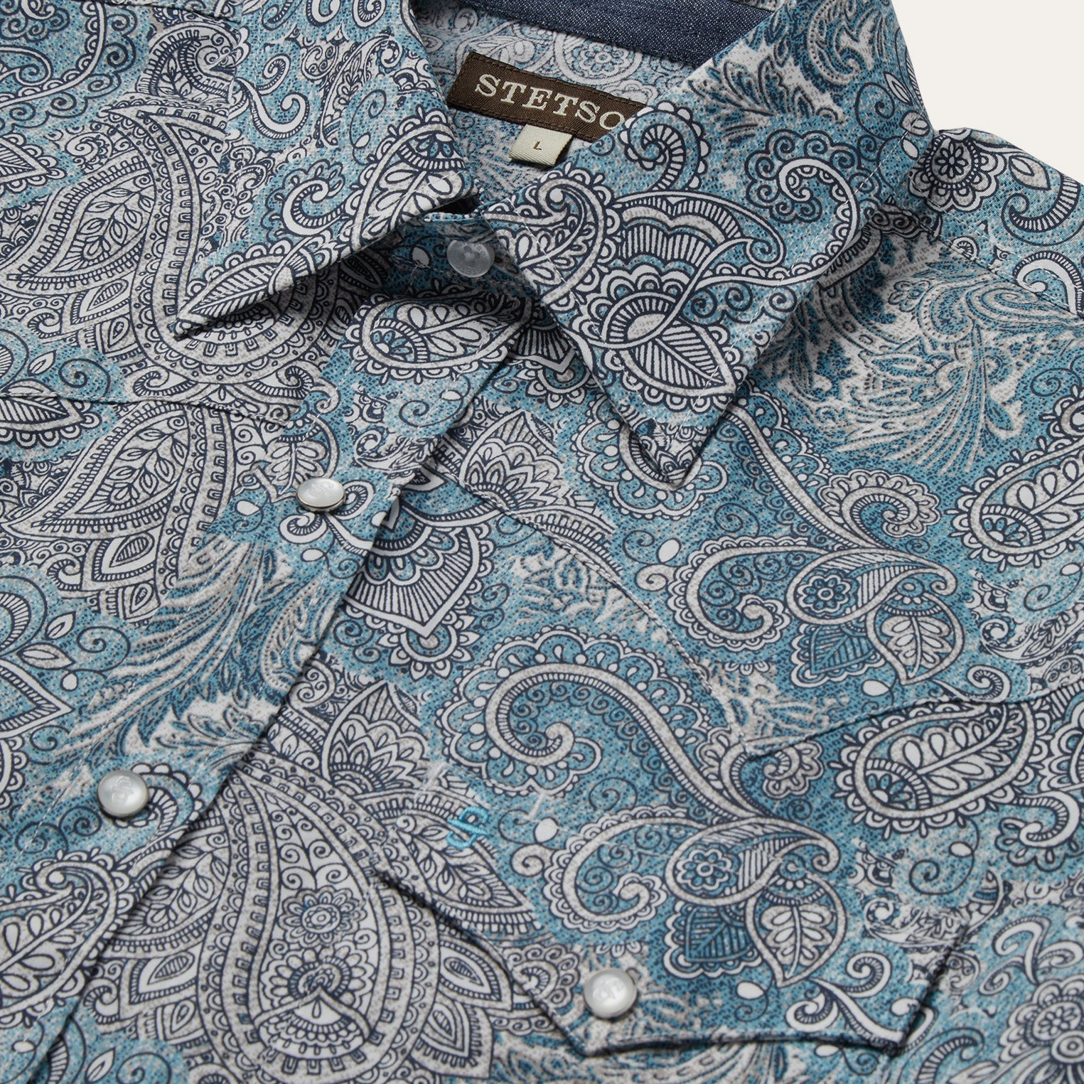 Green Paisley Western Shirt / Stetson