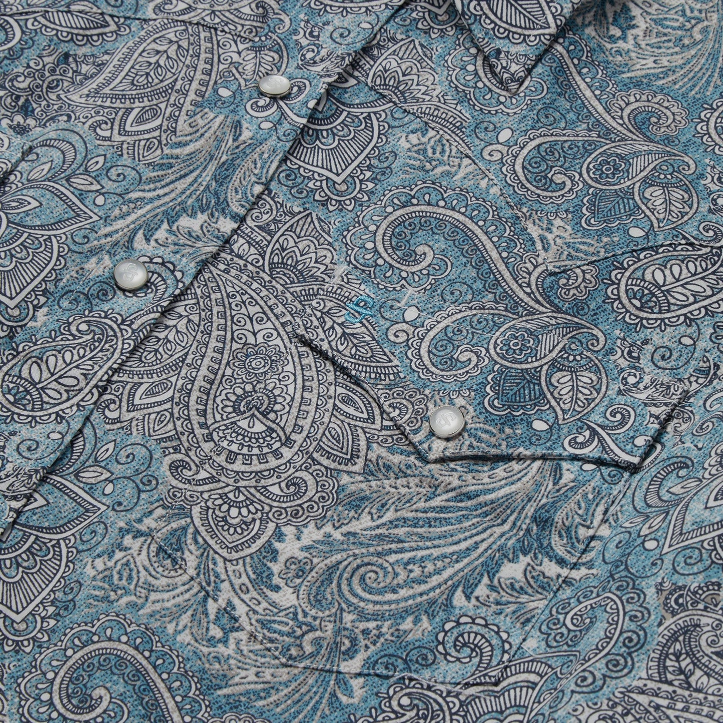 Green Paisley Western Shirt / Stetson