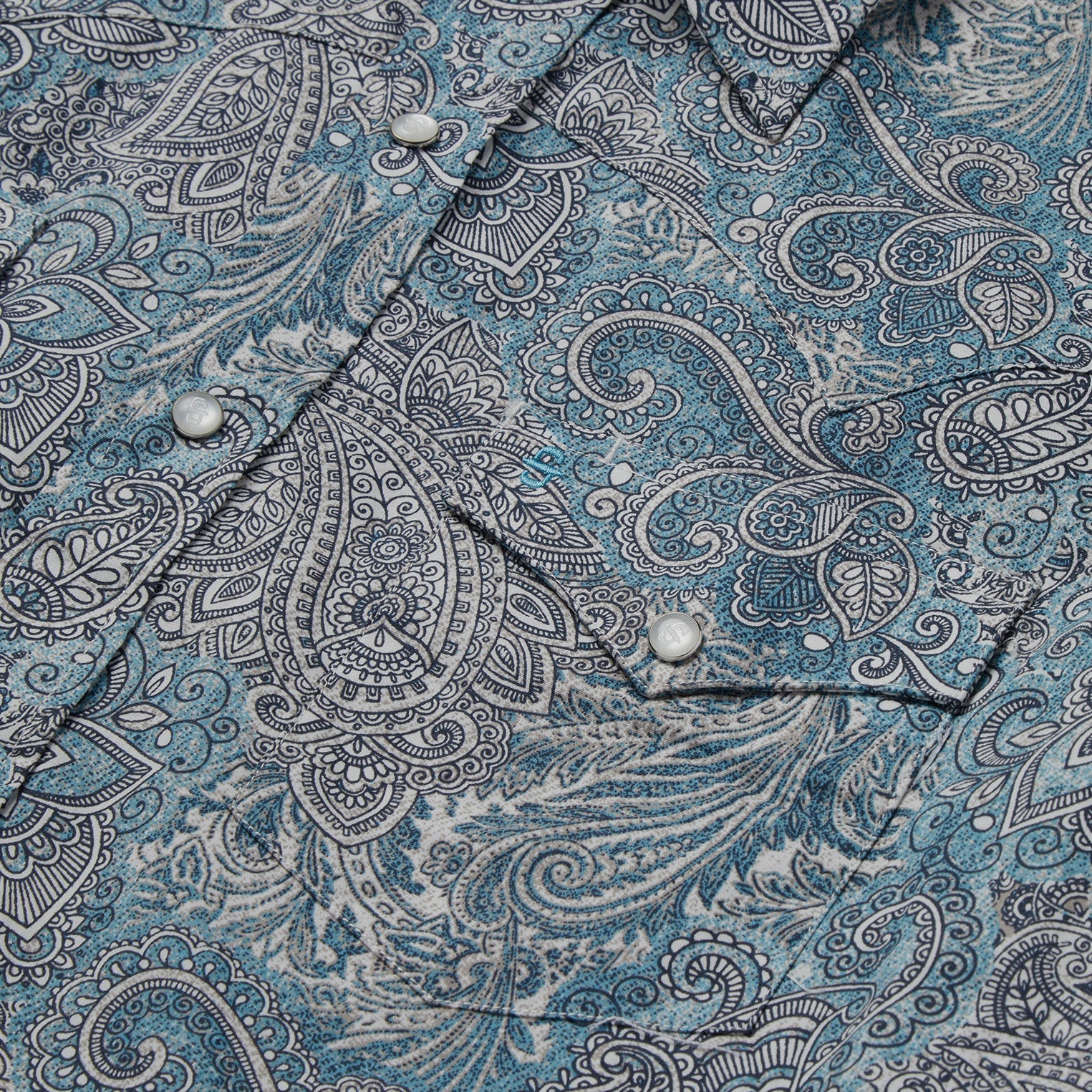 Green Paisley Western Shirt / Stetson