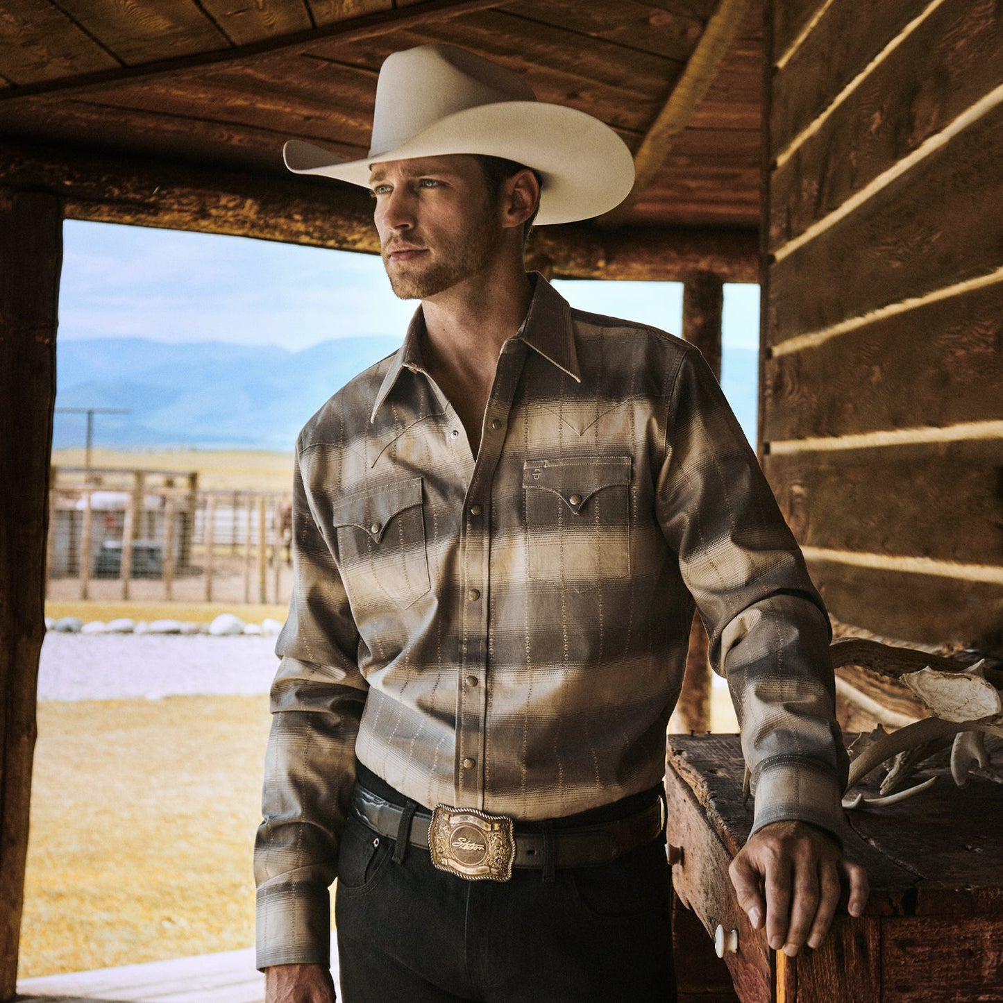Brown Serape Dobby Twill Western Shirt / Stetson