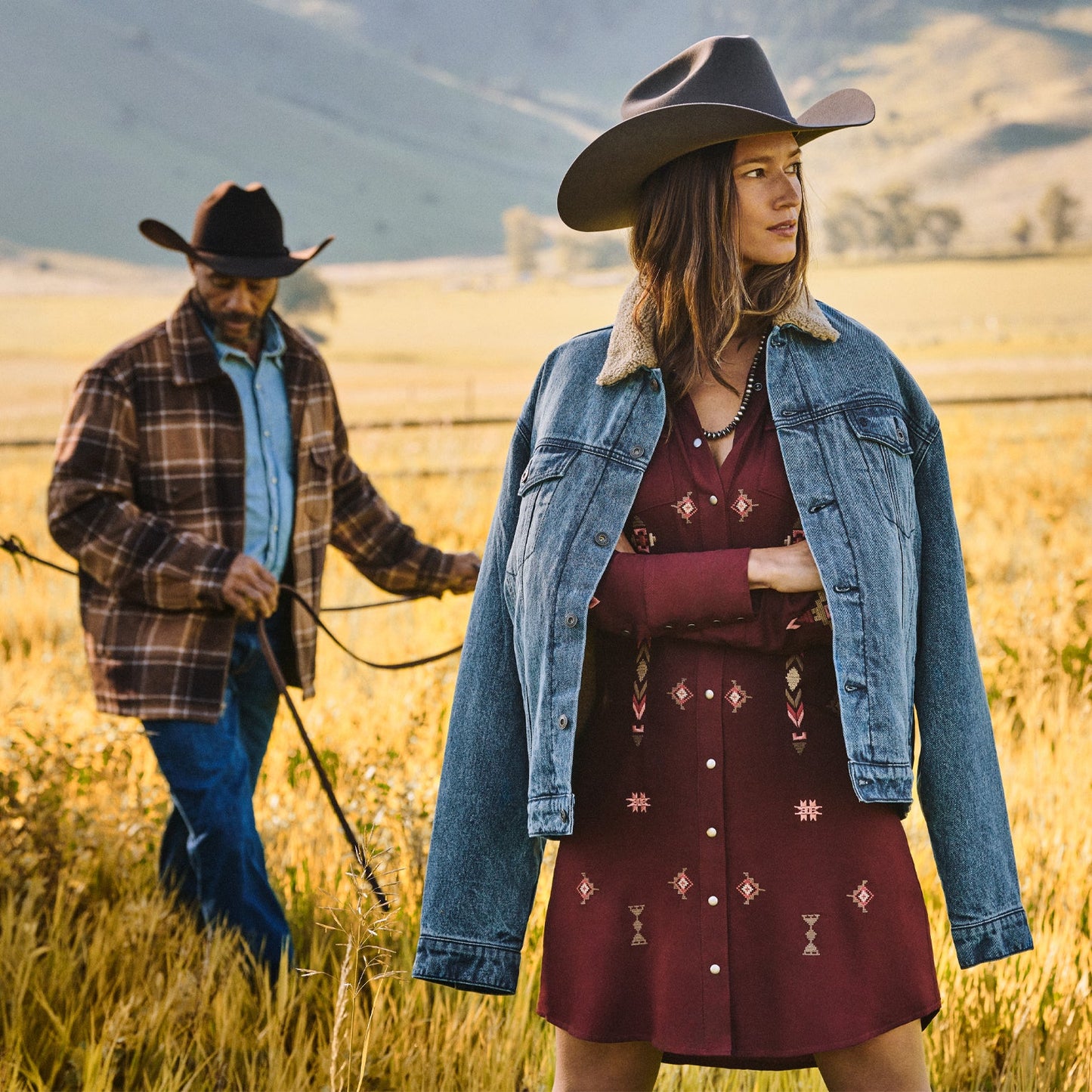 Brown Brown Plaid Western Coat / Stetson