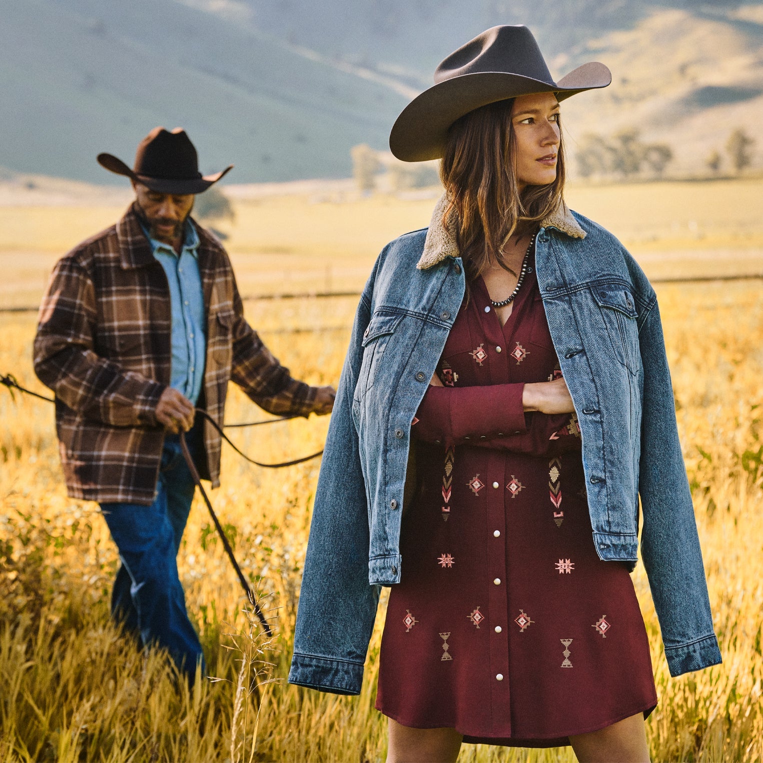 Brown Brown Plaid Western Coat / Stetson