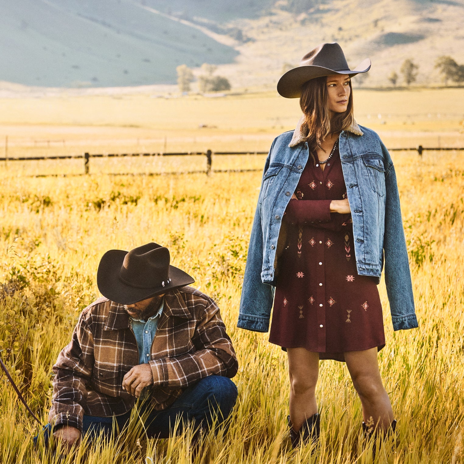 Brown Brown Plaid Western Coat / Stetson