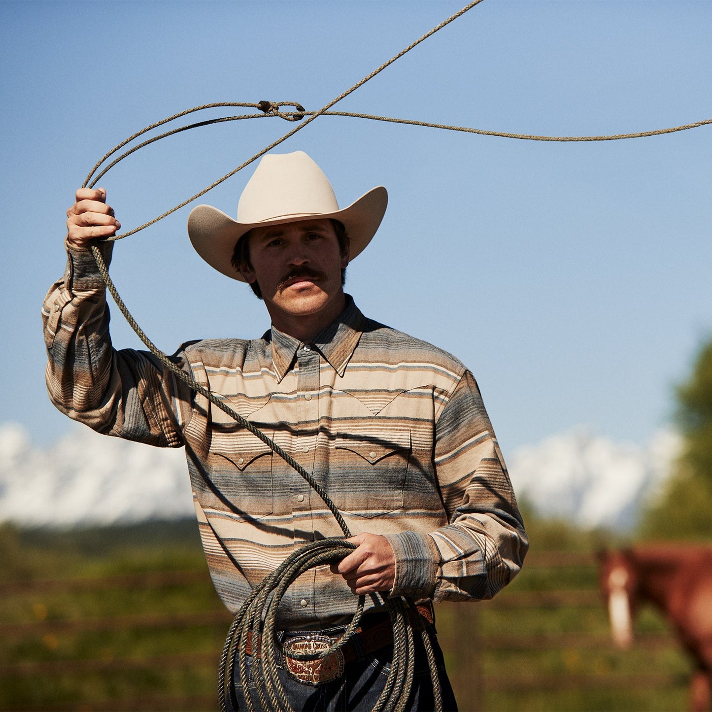 Blue Blue Stripe Flannel Western Shirt / Stetson
