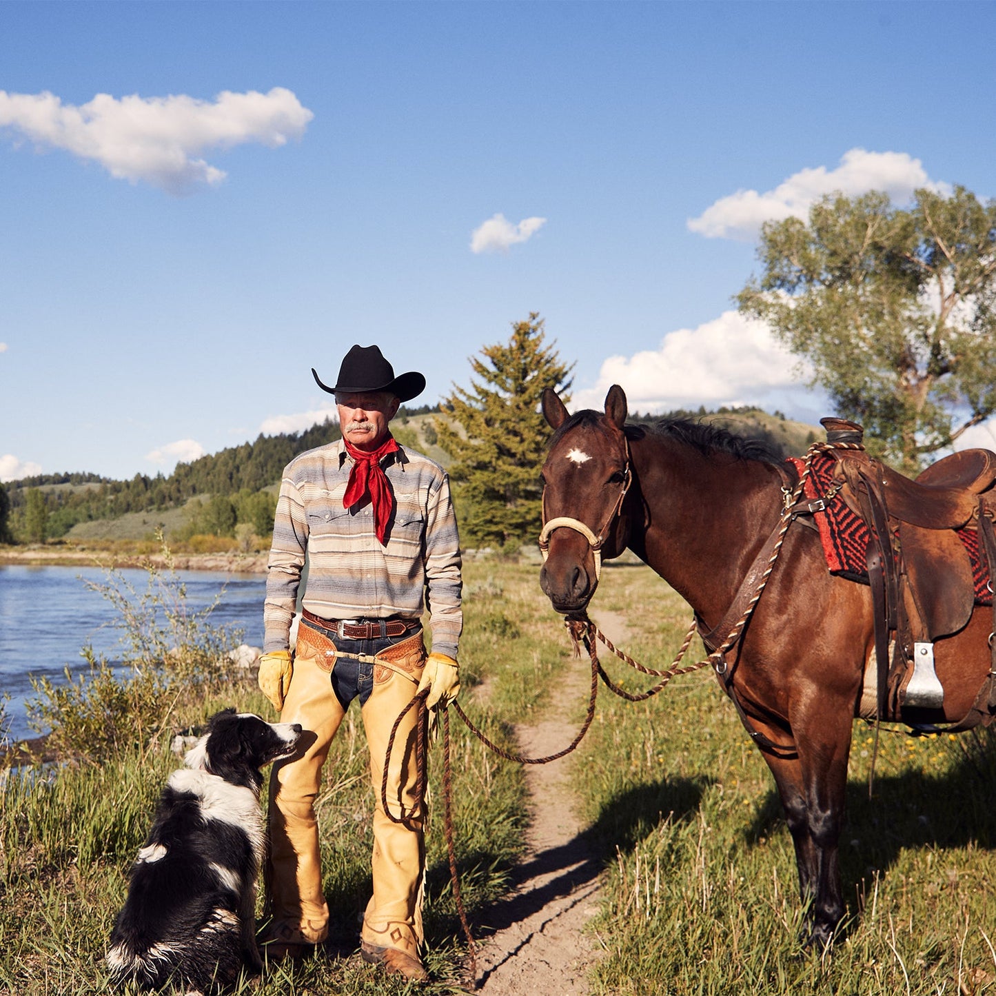 Blue Blue Stripe Flannel Western Shirt / Stetson