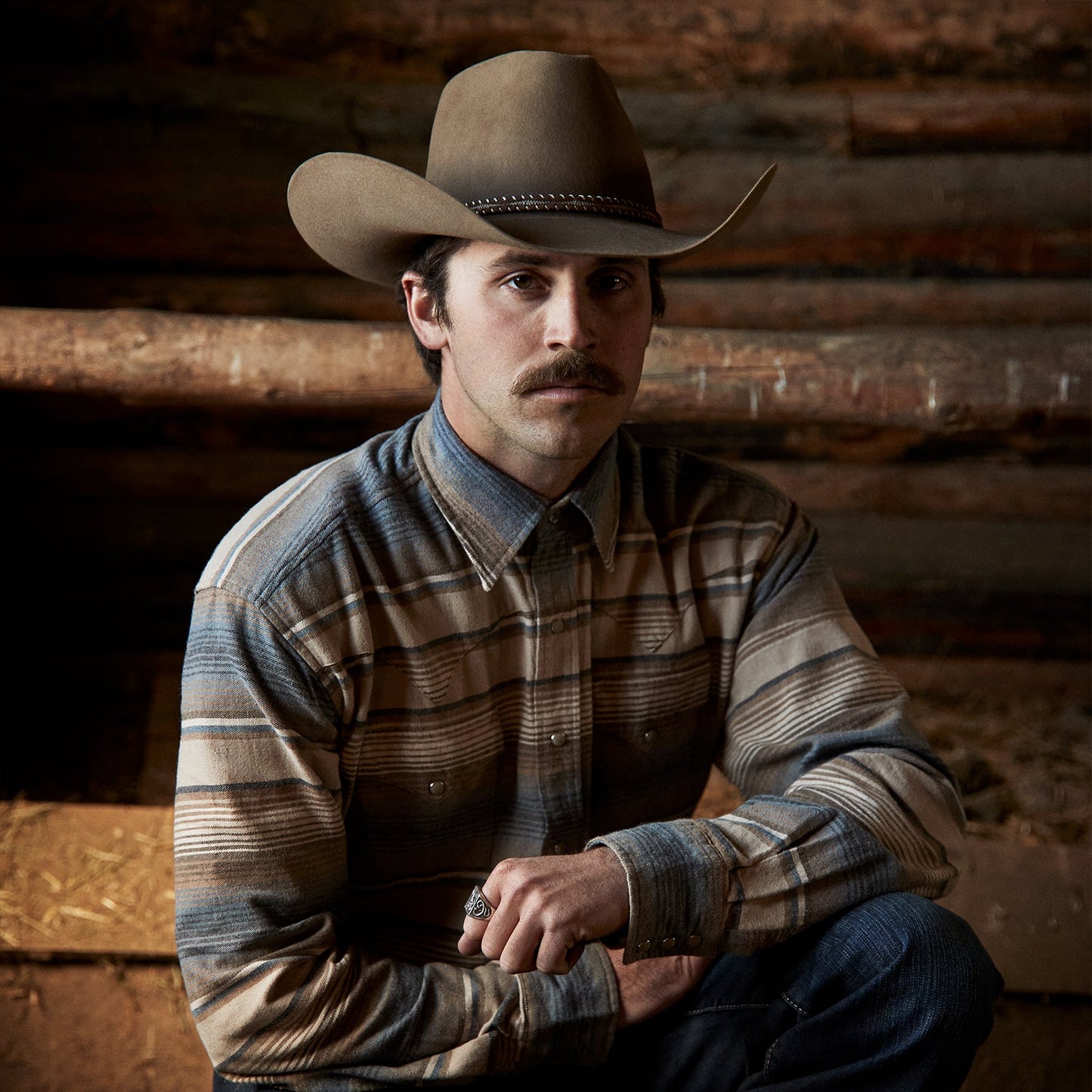 Blue Blue Stripe Flannel Western Shirt / Stetson