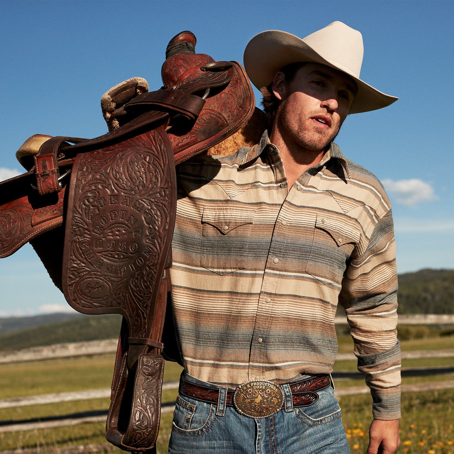 Blue Blue Stripe Flannel Western Shirt / Stetson