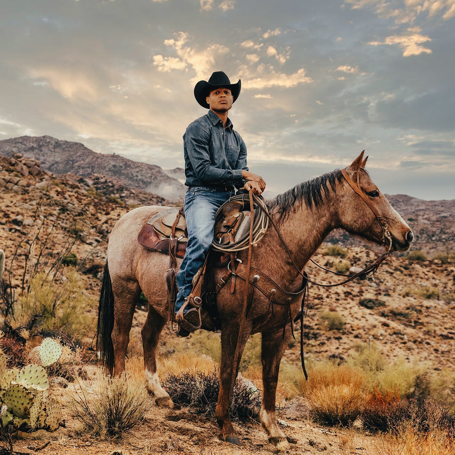 Blue Dark Denim Western Shirt / Stetson
