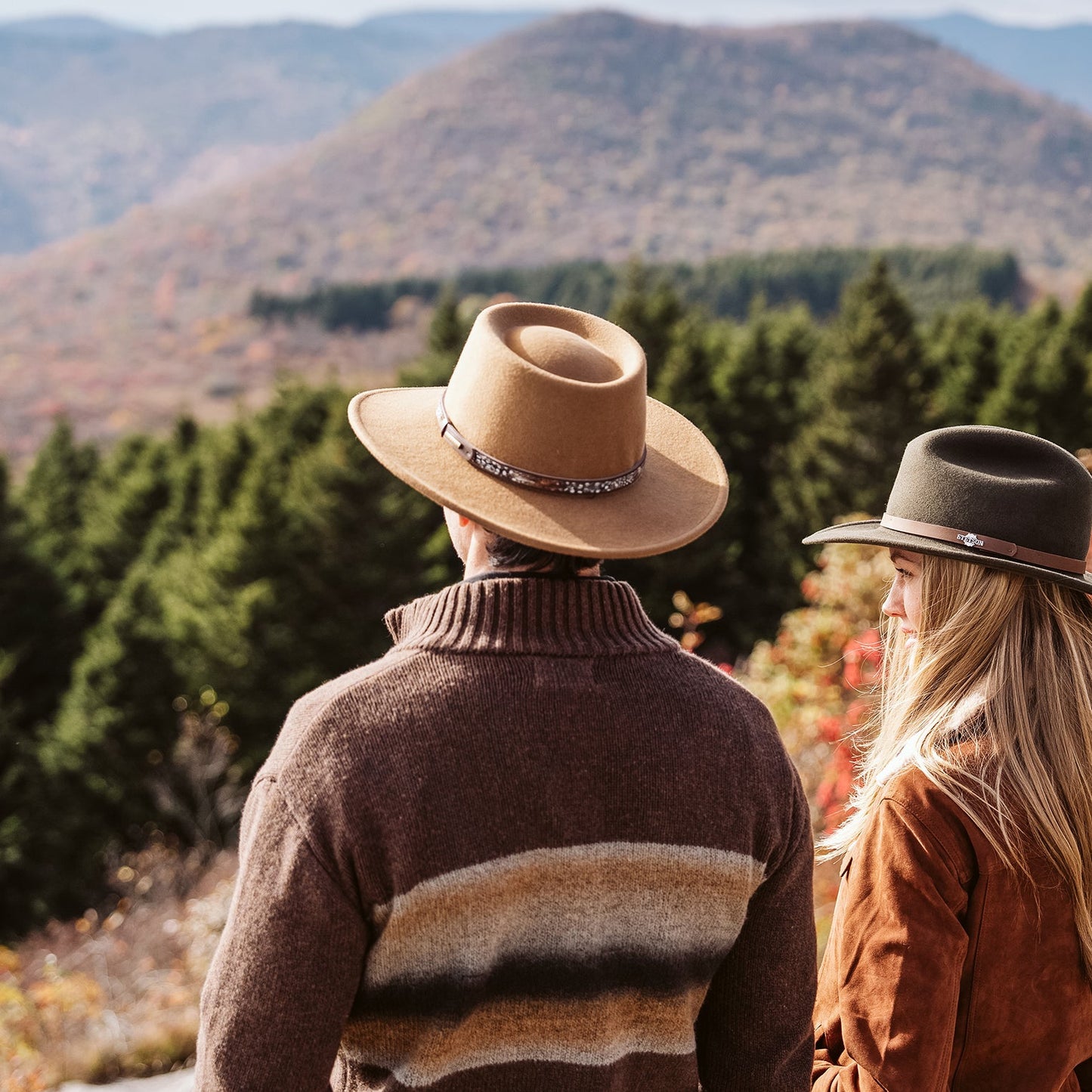 Brown Ombre Border Stripe Cardigan / Stetson