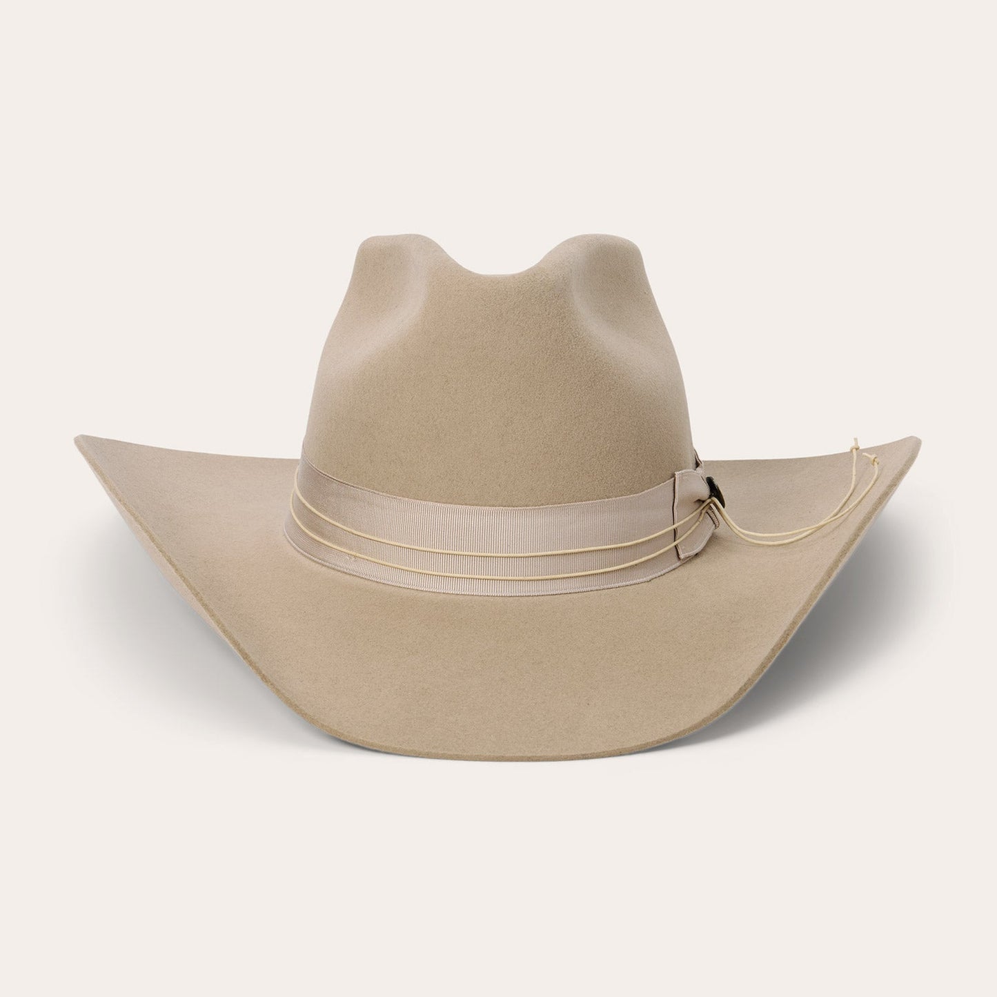 Silverbelly Enigma / Stetson