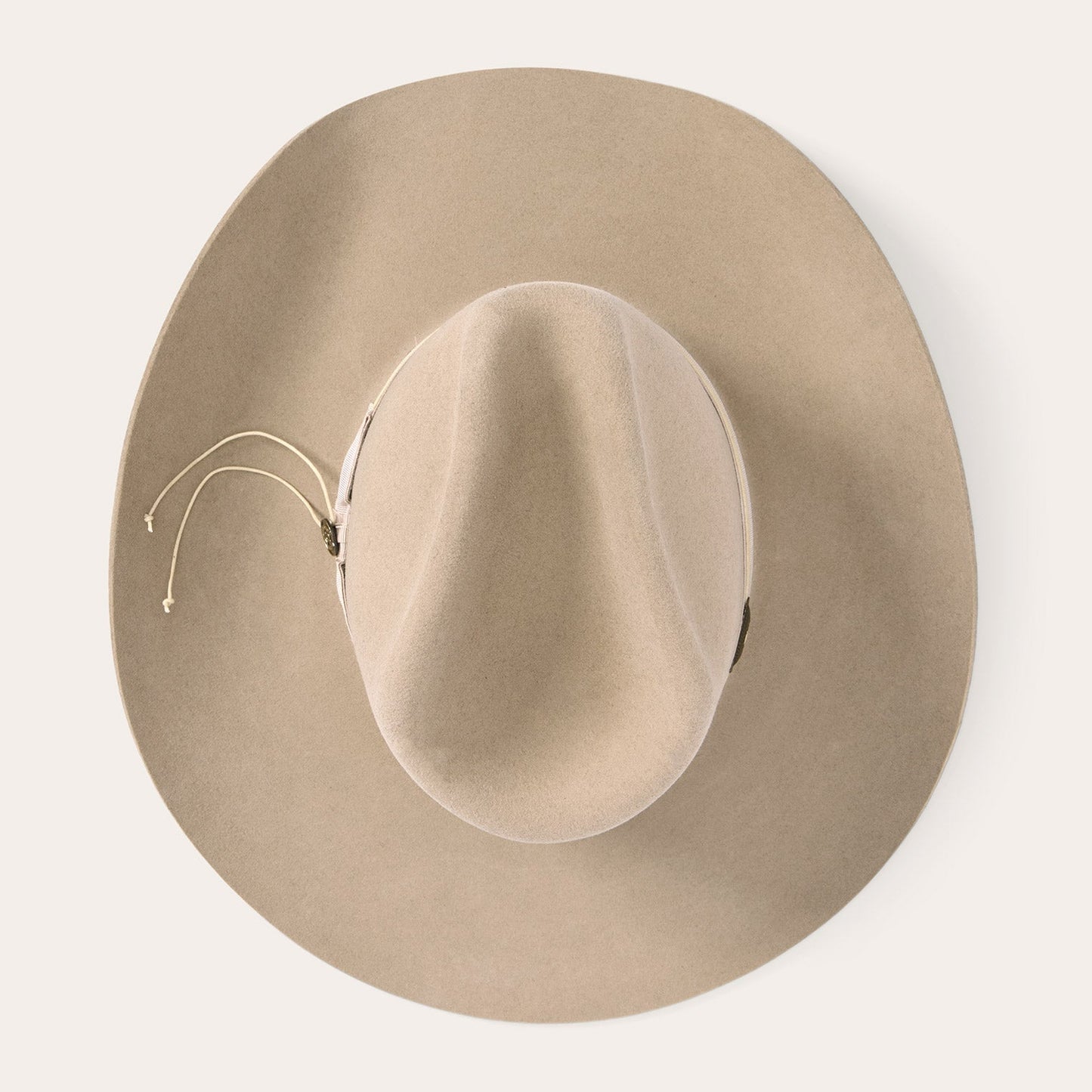 Silverbelly Enigma / Stetson