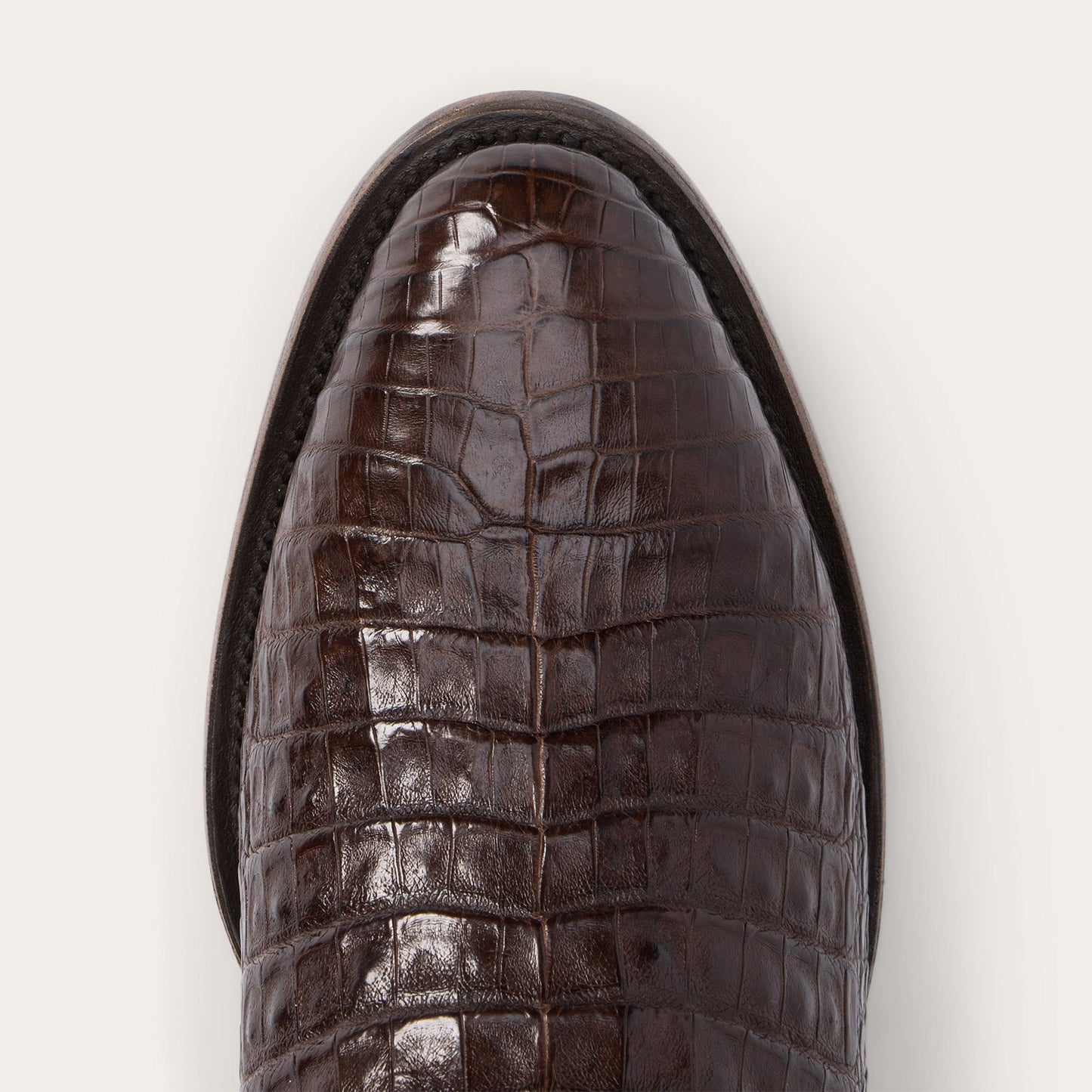 Tobacco Holliday Caiman Boots / Stetson