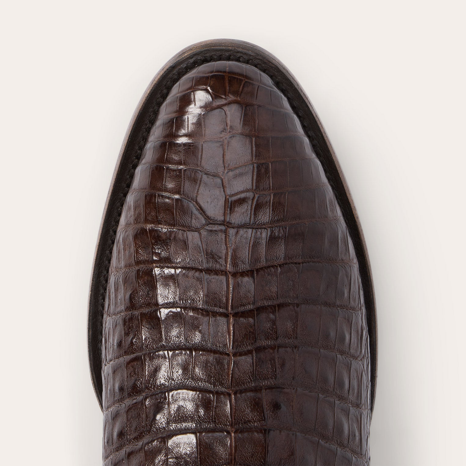 Tobacco Holliday Caiman Boots / Stetson