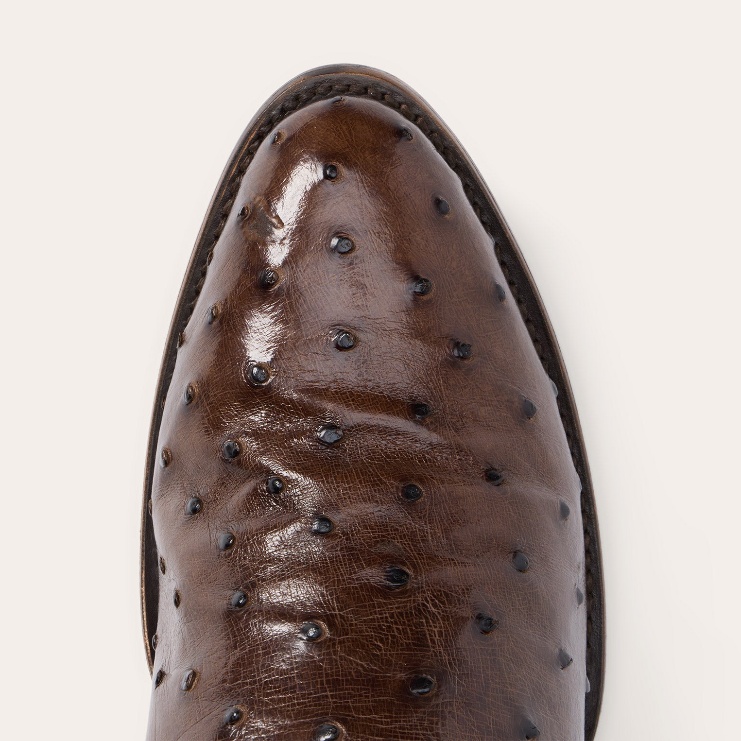 Tobacco Chisholm Ostrich Boots / Stetson