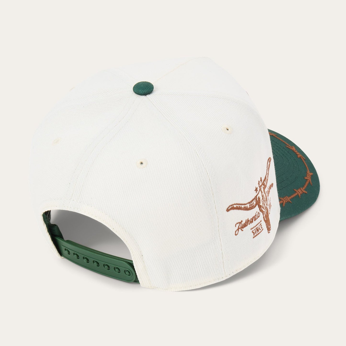 Off White / Green Landscape Trucker Hat / Stetson