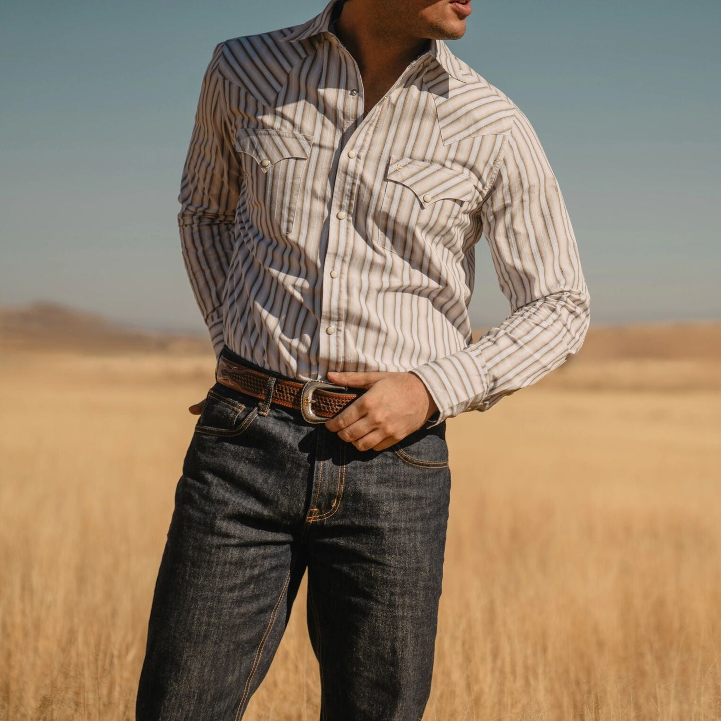 Brown Ombre Stripe Western Shirt / Stetson